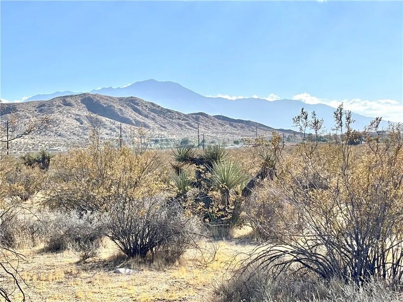 4321 Cheyenne Trail