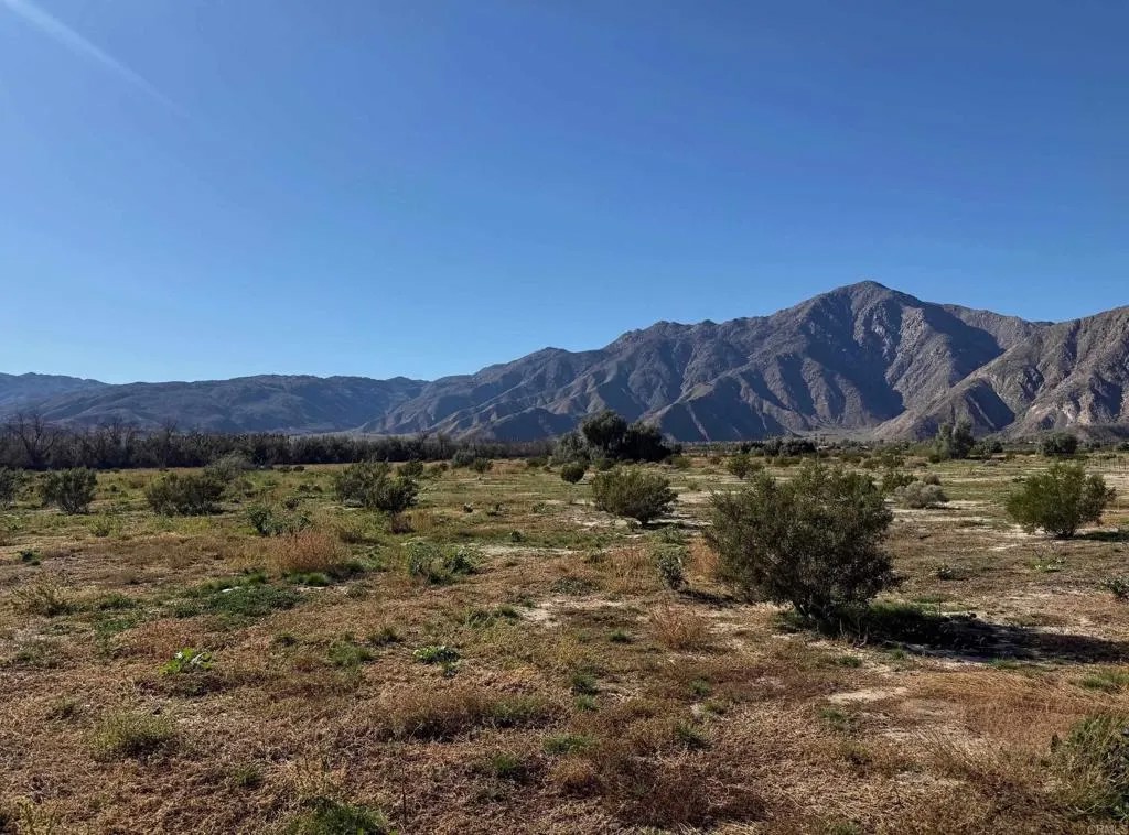 Borrego Springs