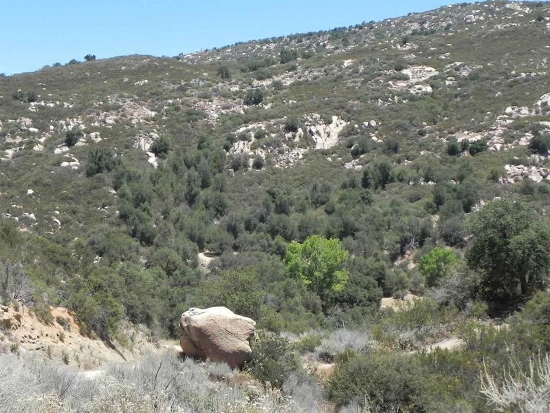 9779 Deer Valley Trail