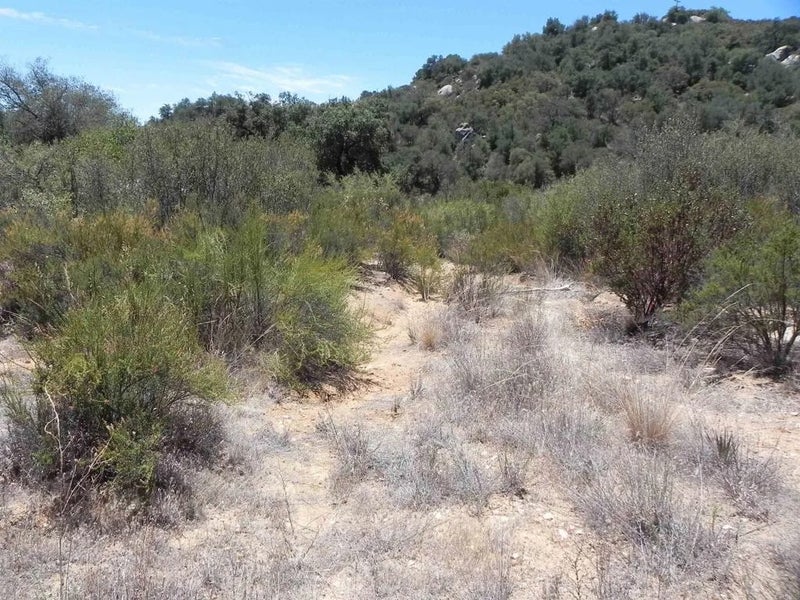 9779 Deer Valley Trail