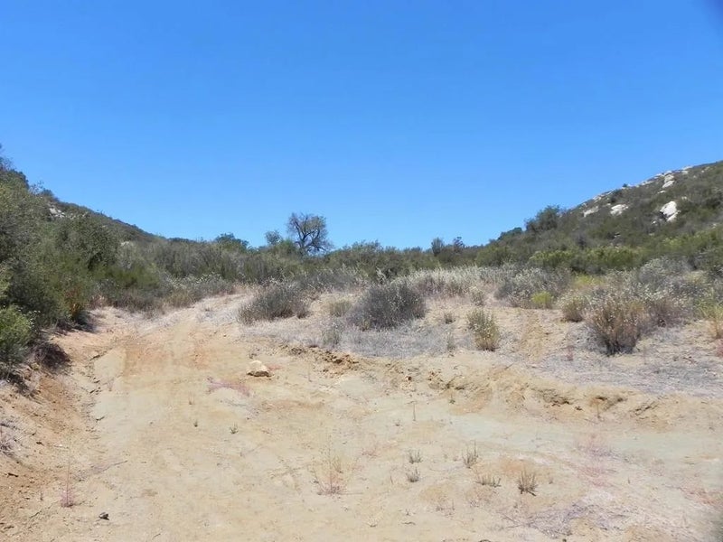 9779 Deer Valley Trail
