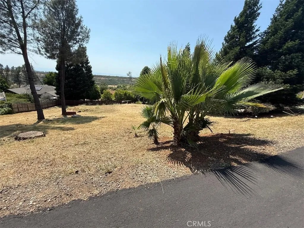 4441 Sierra Del Sol