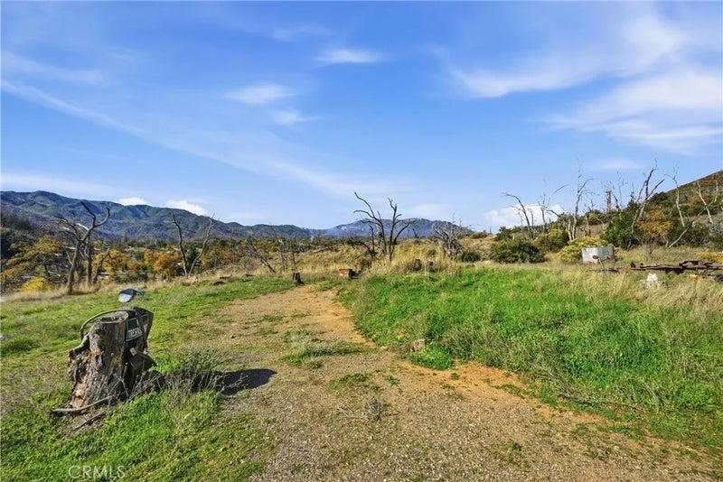 19576 State Highway 175