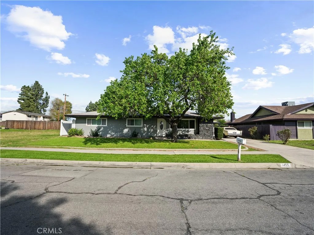 1455 N Alice