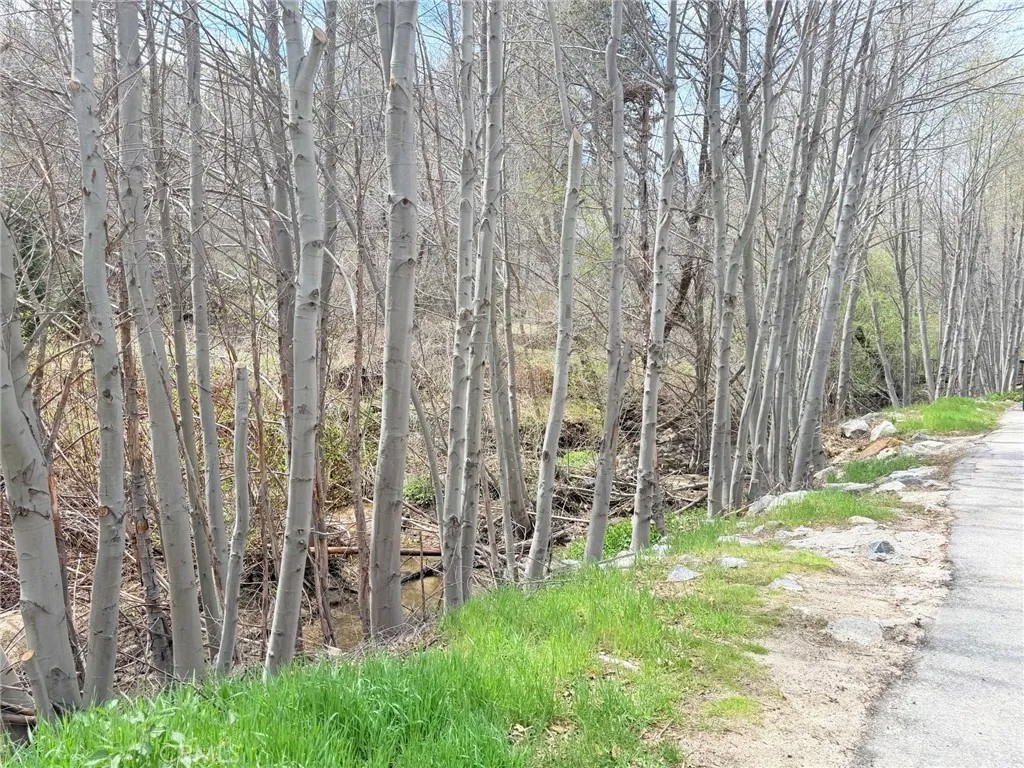 29949 Hook Creek