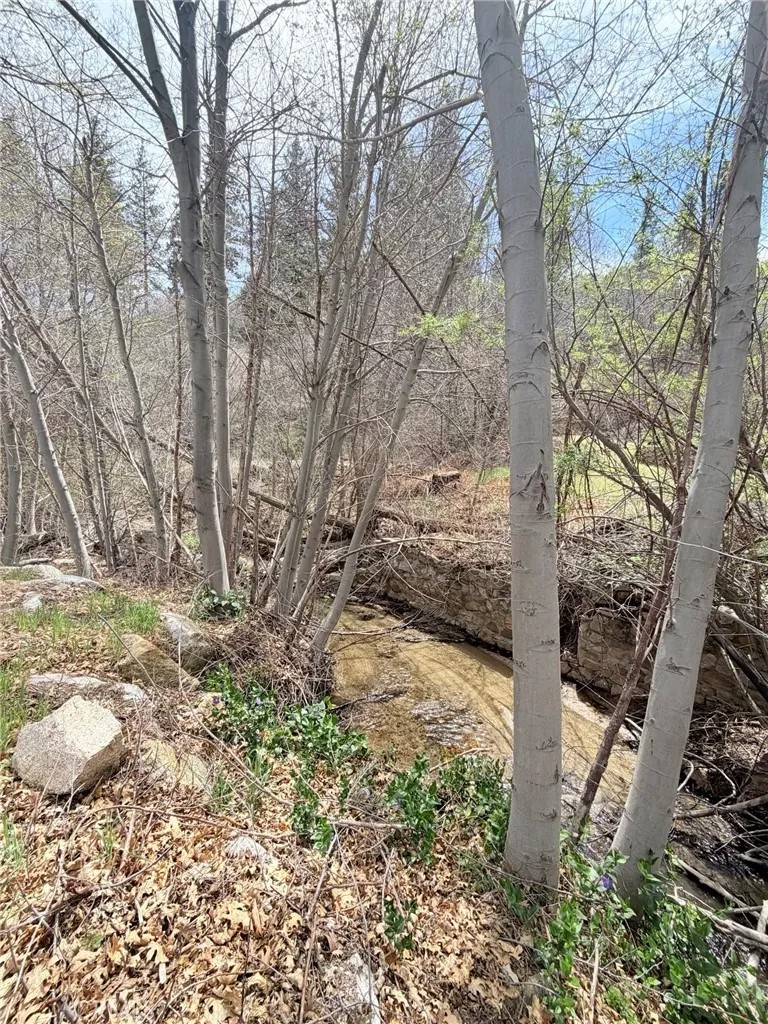 29949 Hook Creek