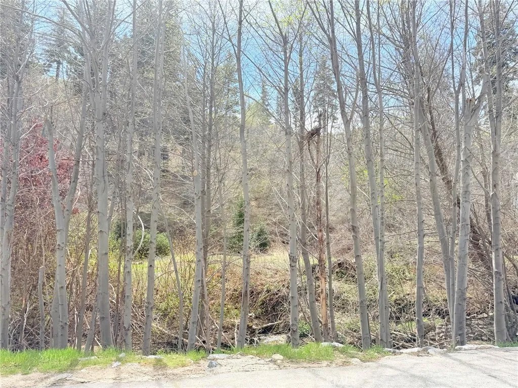 29949 Hook Creek