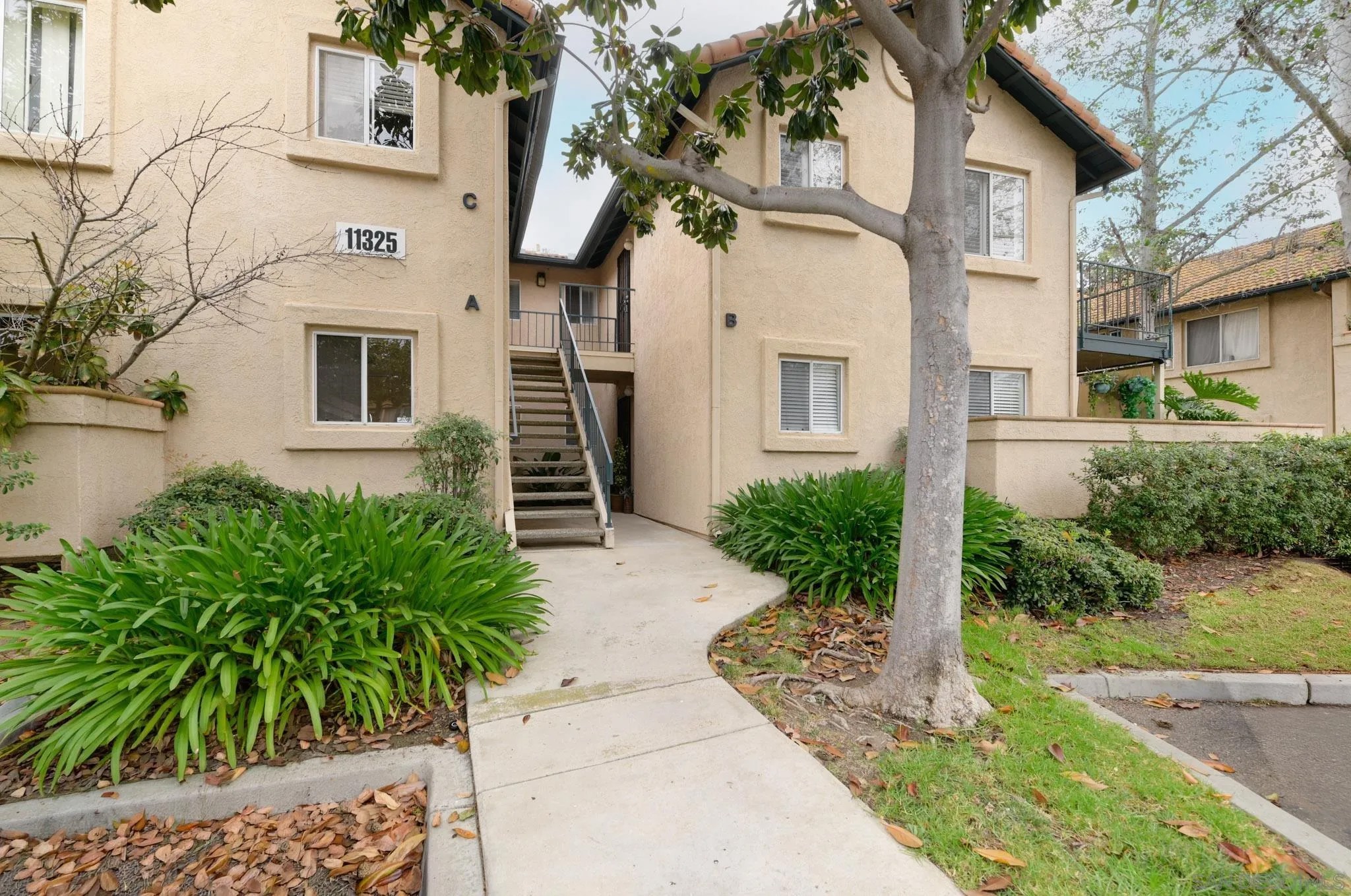 11325 Avenida De Los Lobos A