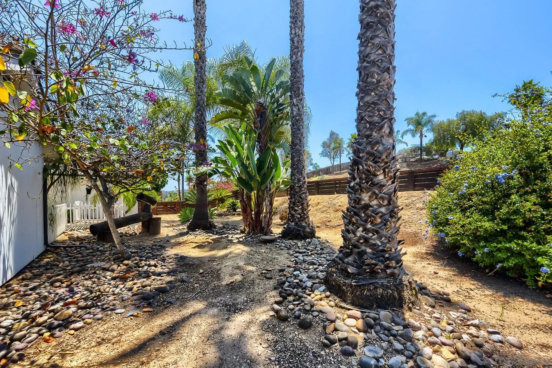 4225 AVOCADO BLVD