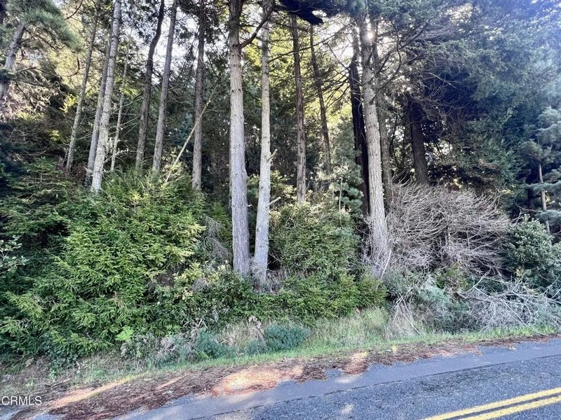 15301 Forest View