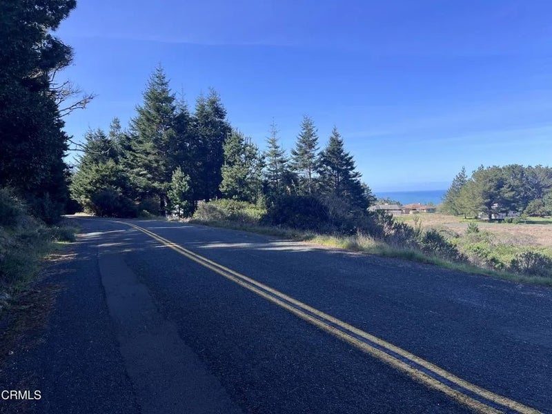 15301 Forest View