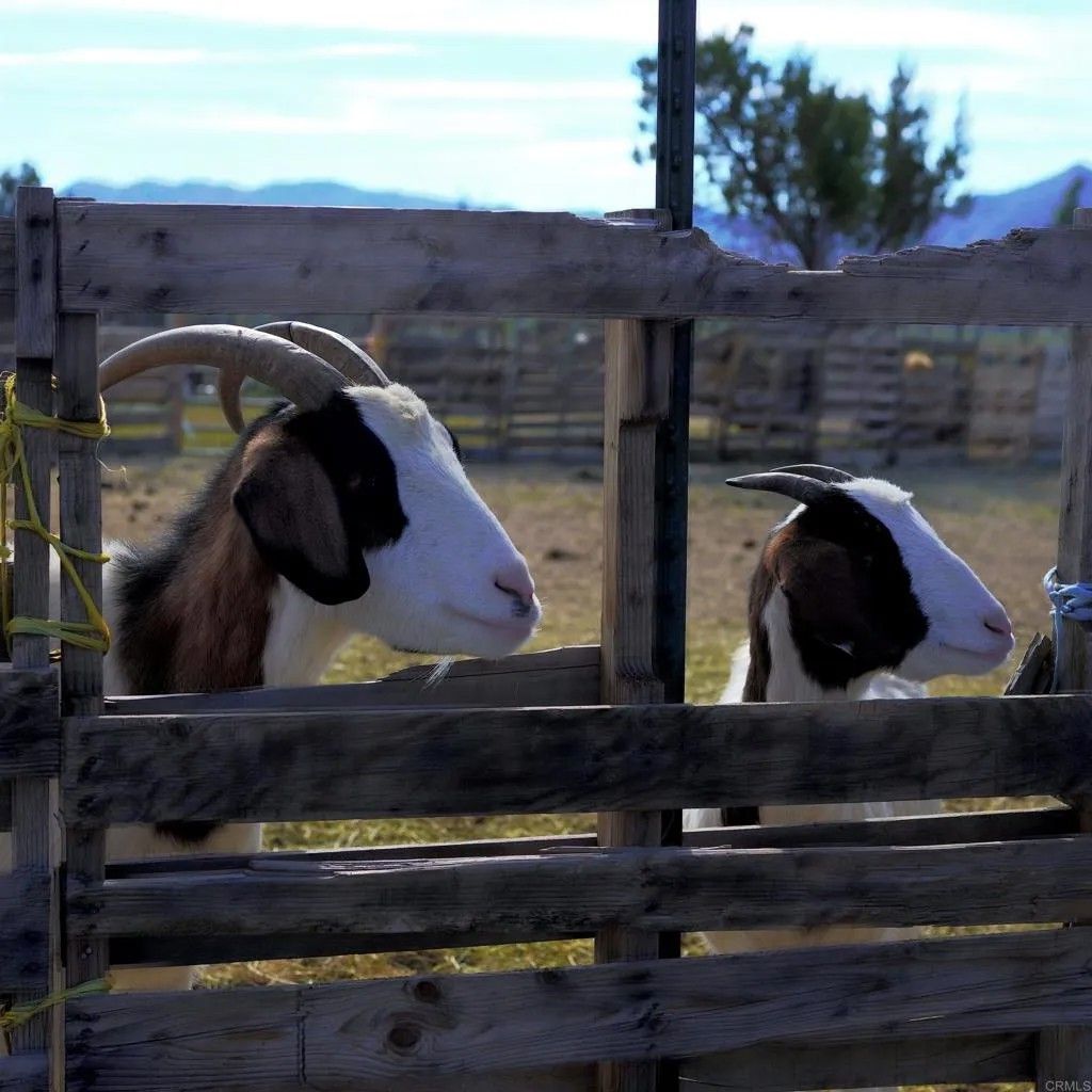 Photo of 41945 Apple Road, Anza, CA 92539 (MLS # NDP2601037)