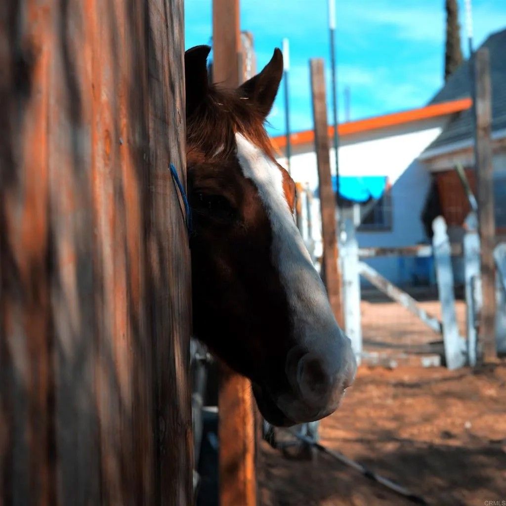 Photo of 41945 Apple Road, Anza, CA 92539 (MLS # NDP2601037)