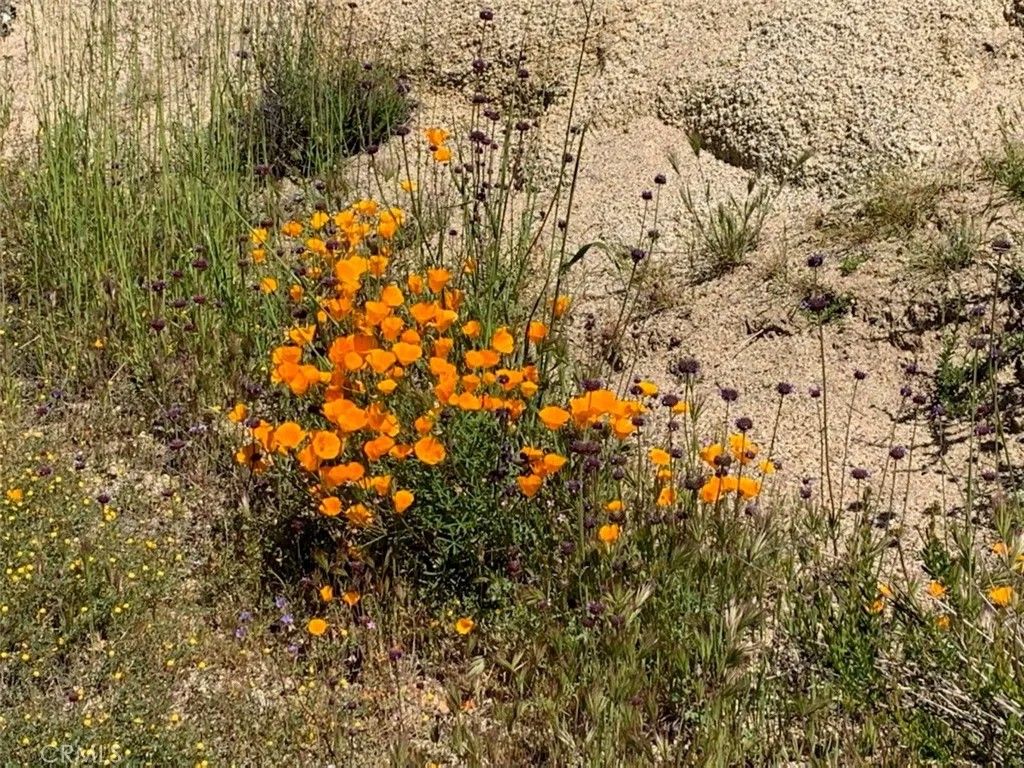 Photo of 0 Inland, Aguanga, CA 92536 (MLS # SW26029611)