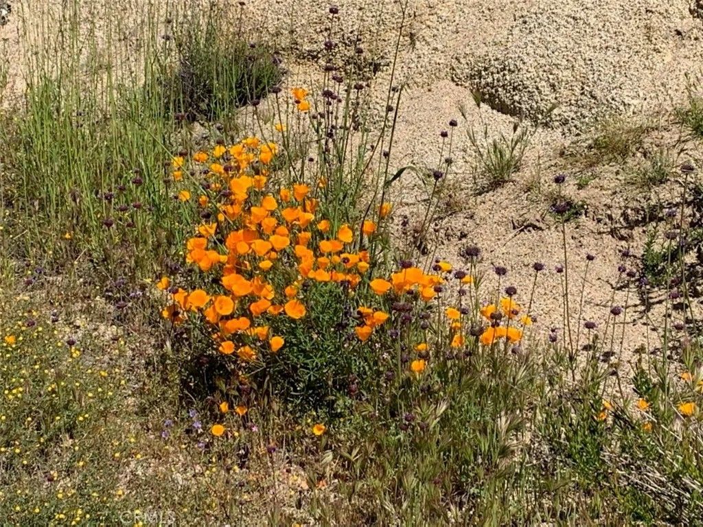 Photo of 0 Inland, Aguanga, CA 92536 (MLS # SW26029611)