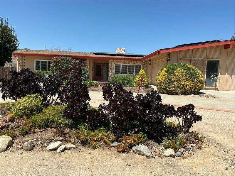 11735 Peach Tree