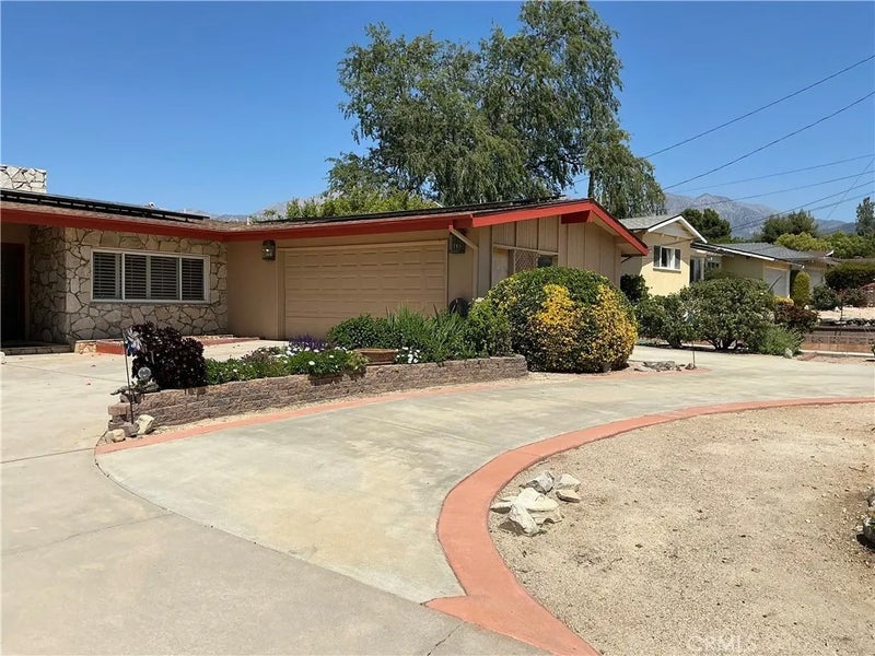 11735 Peach Tree