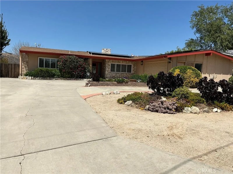 11735 Peach Tree