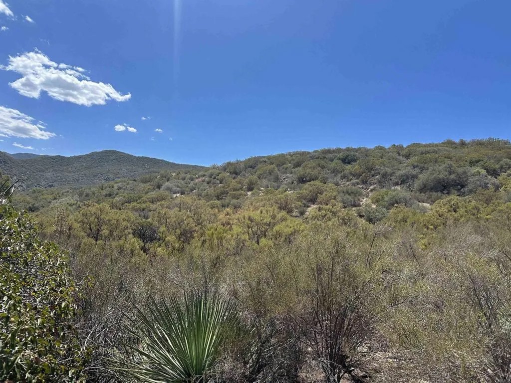 59125 Rimrock Canyon