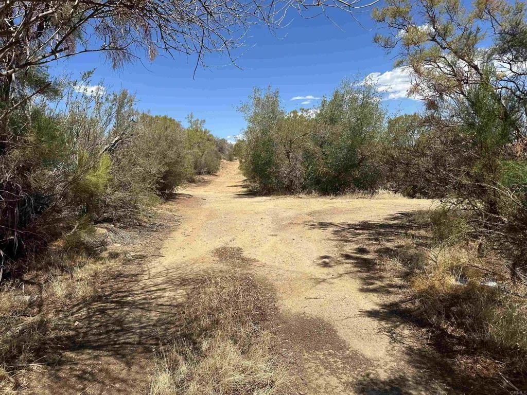 59125 Rimrock Canyon
