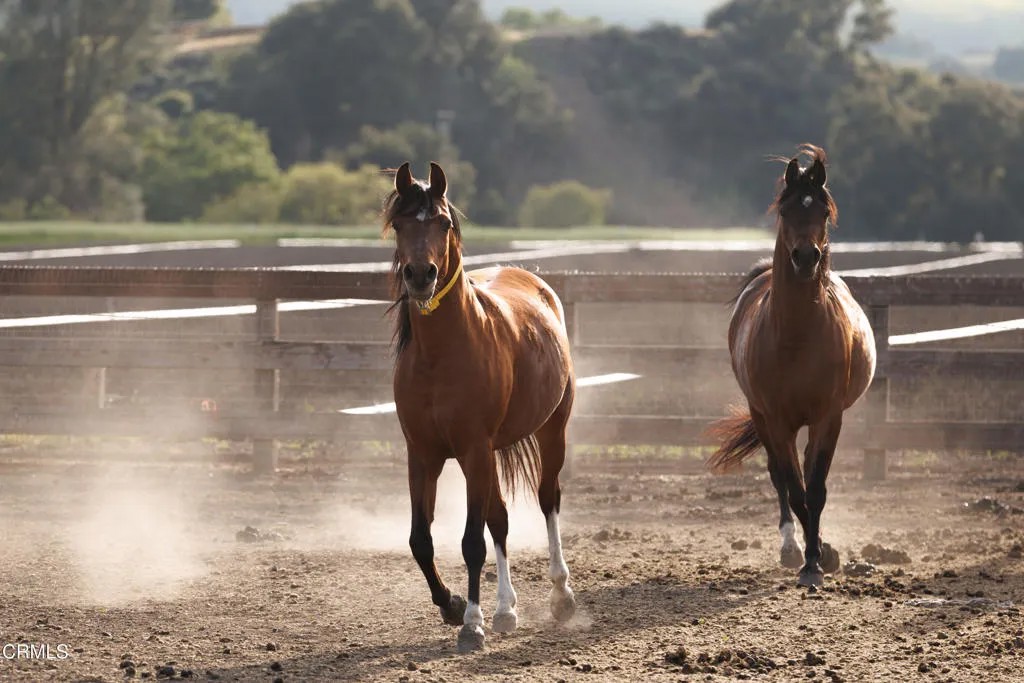 3325 Figueroa Mountain Road