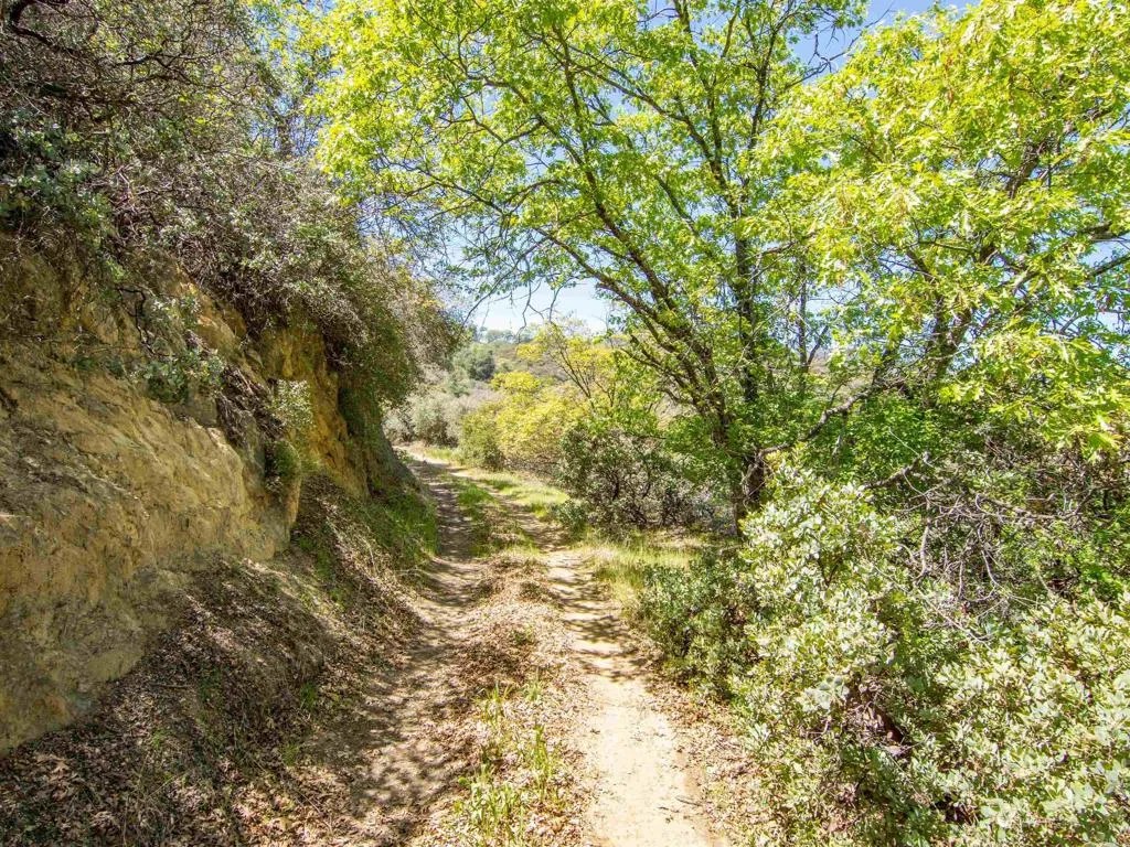 17 Bobcat Trail