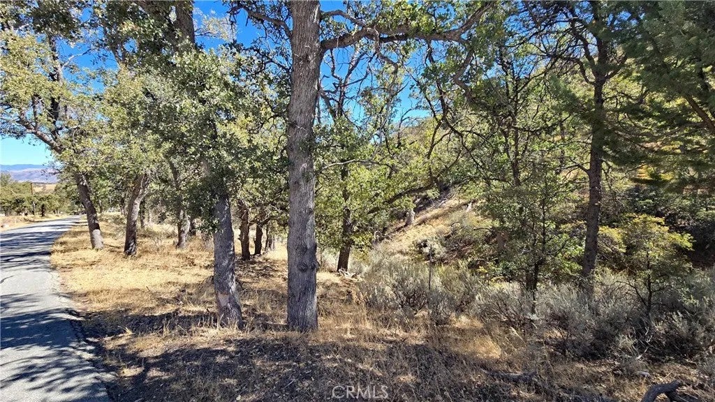 Photo of 0 Saint Moritz Drive, Tehachapi, CA 93561 (MLS # SR26216346)