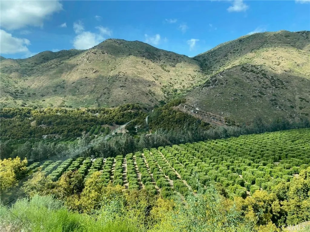 0 Julian Estates Rd.