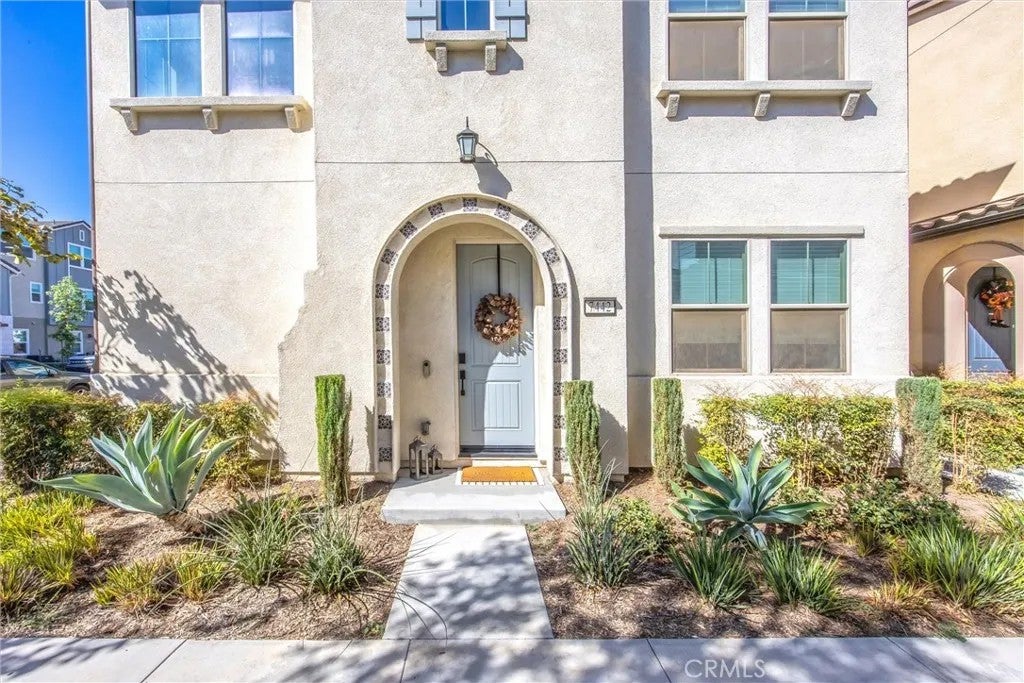 7442 Desert Holly