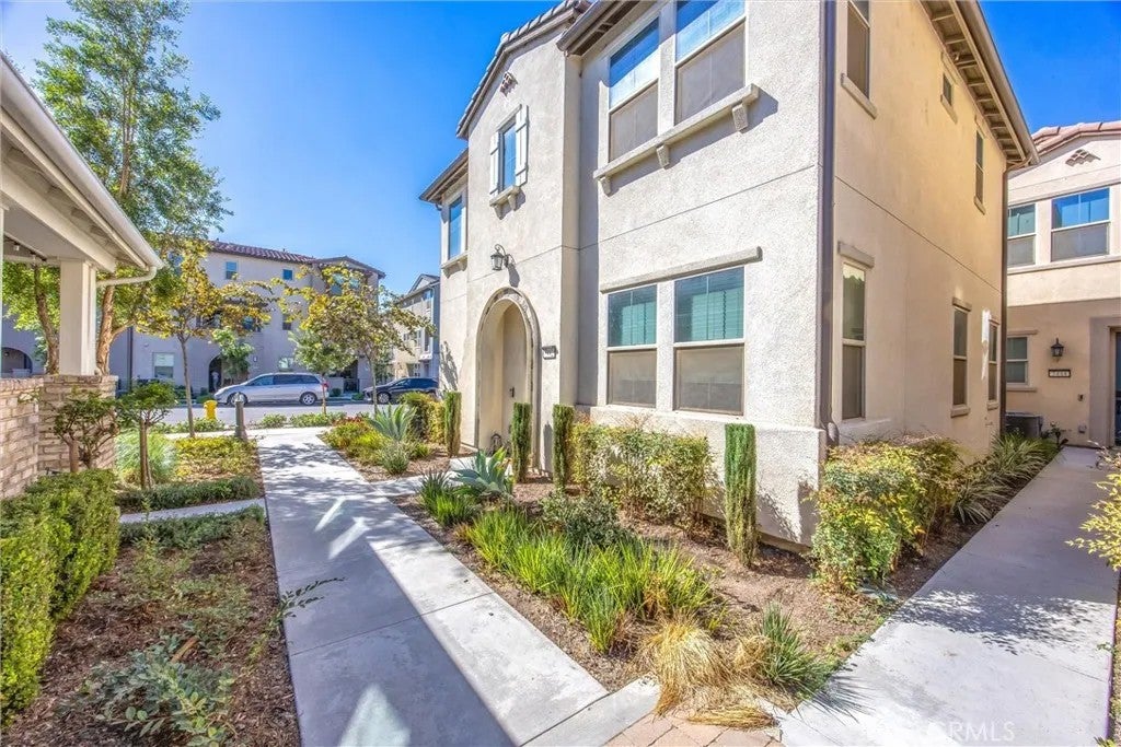 7442 Desert Holly
