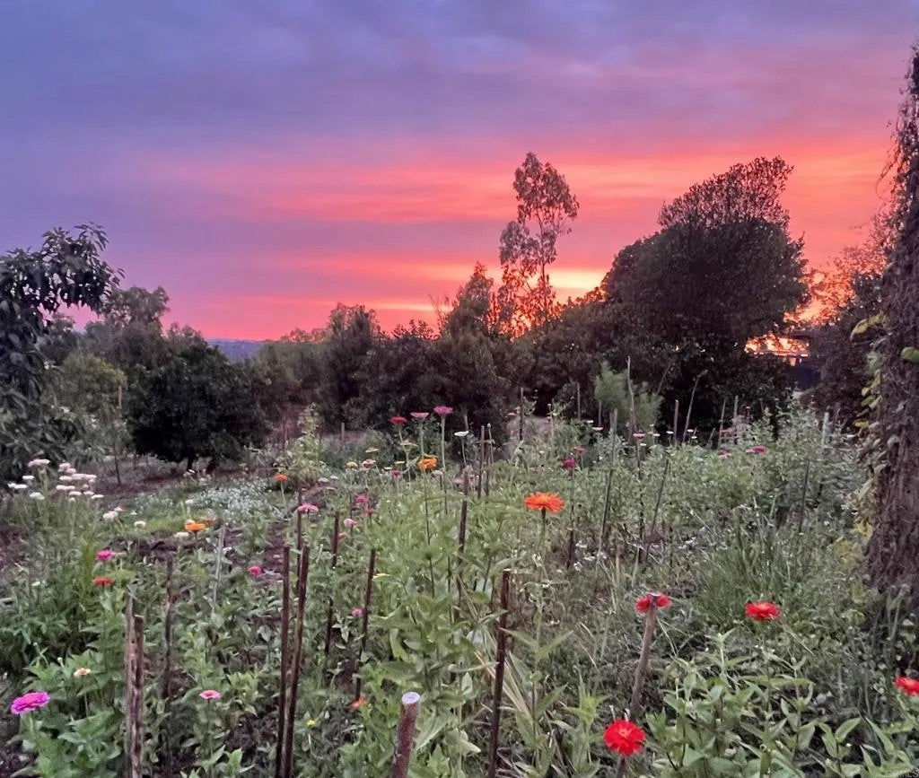 Photo of 5741 Rainbow Heights Road, Fallbrook, CA 92028 (MLS # NDP2607870)