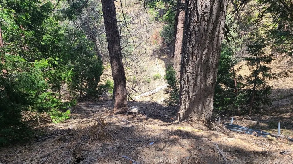 29186 Arrowhead