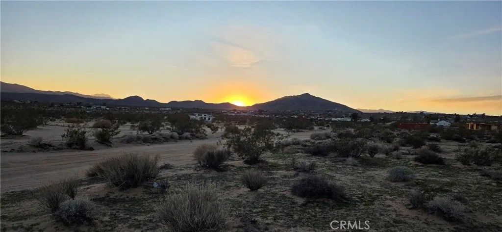 Photo of 0 Campanula, Joshua Tree, CA 92252 (MLS # JT25267927)