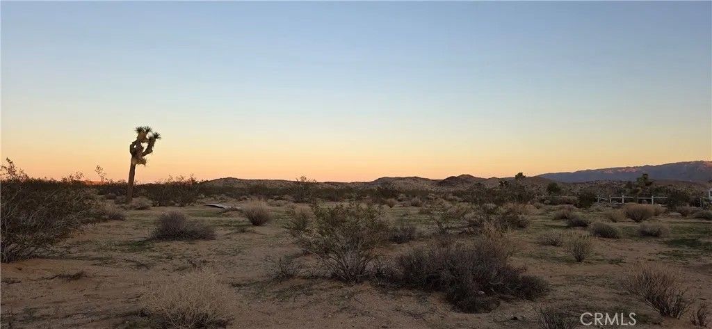 Photo of 0 Campanula, Joshua Tree, CA 92252 (MLS # JT25267927)