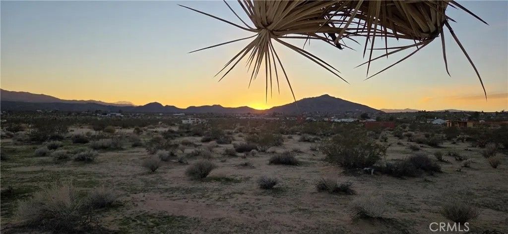 Photo of 0 Campanula, Joshua Tree, CA 92252 (MLS # JT25267927)