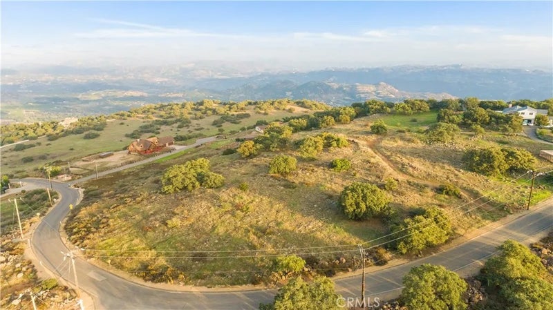 16 Avocado Mesa