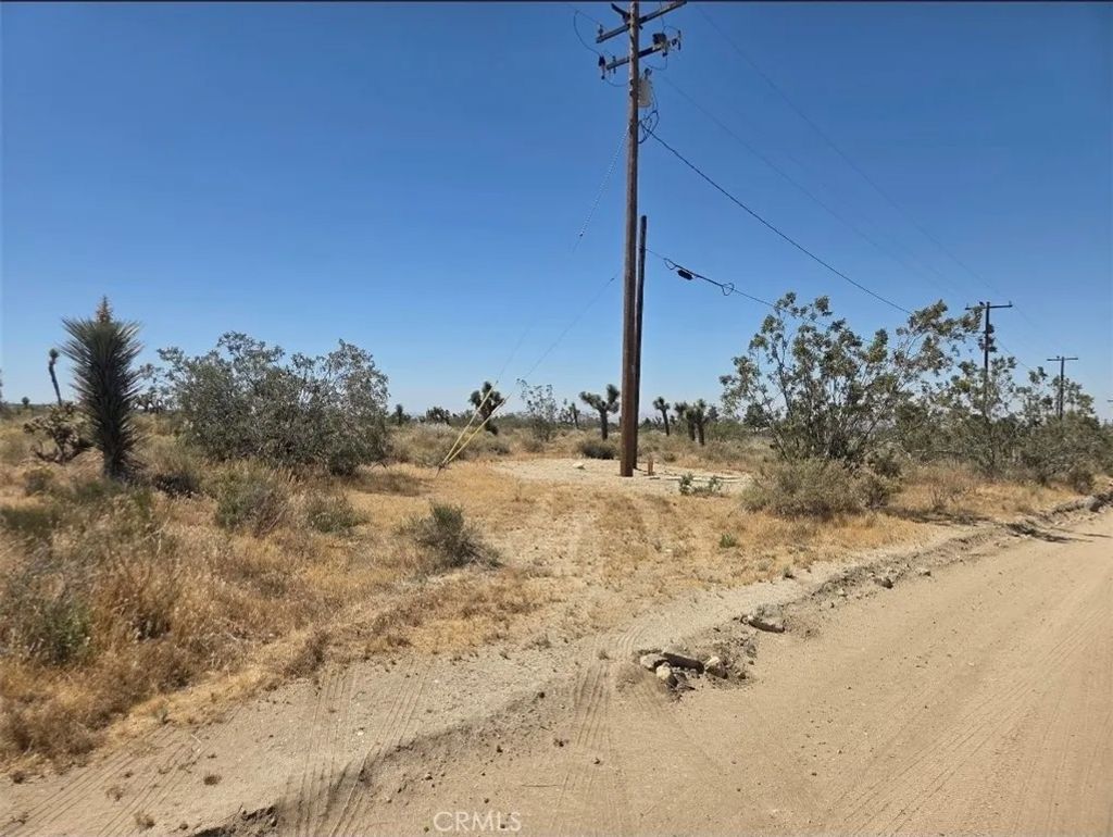 Photo of 11524 Wintergreen Rd, Pinon Hills, CA 92372 (MLS # CV26125648)