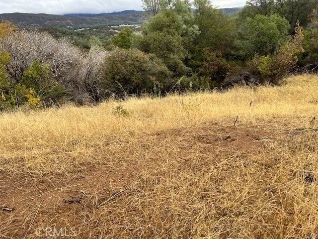 12170 Cerrito
