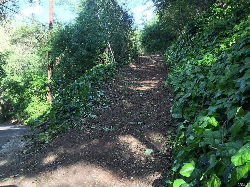 30242 Oak