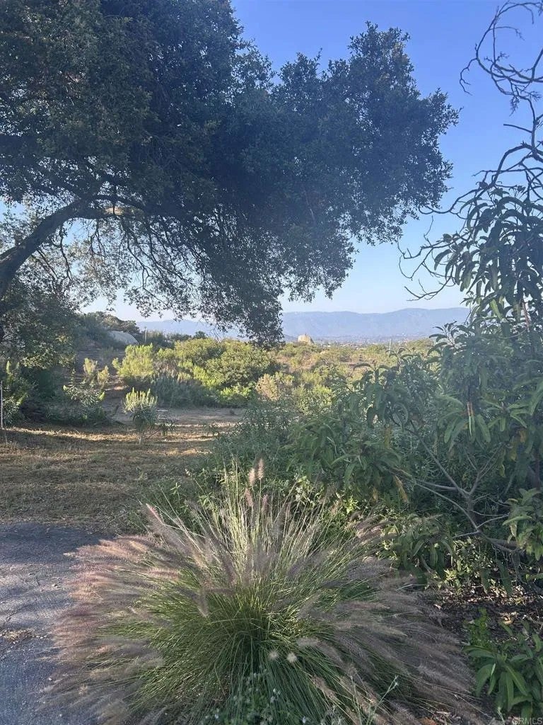 High Mountain Lane
