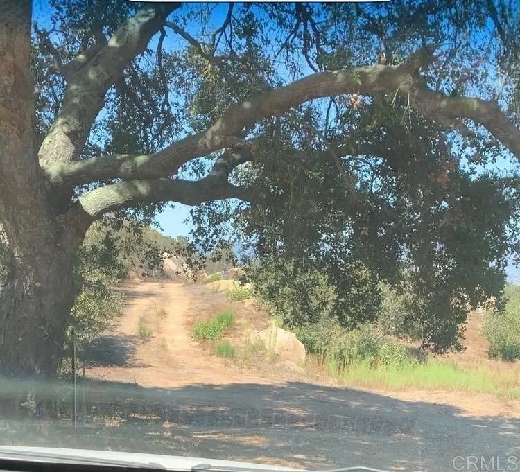 High Mountain Lane