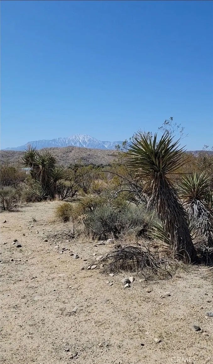 0 Palo Verde