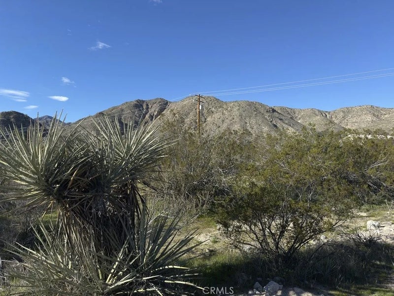 0 Palo Verde