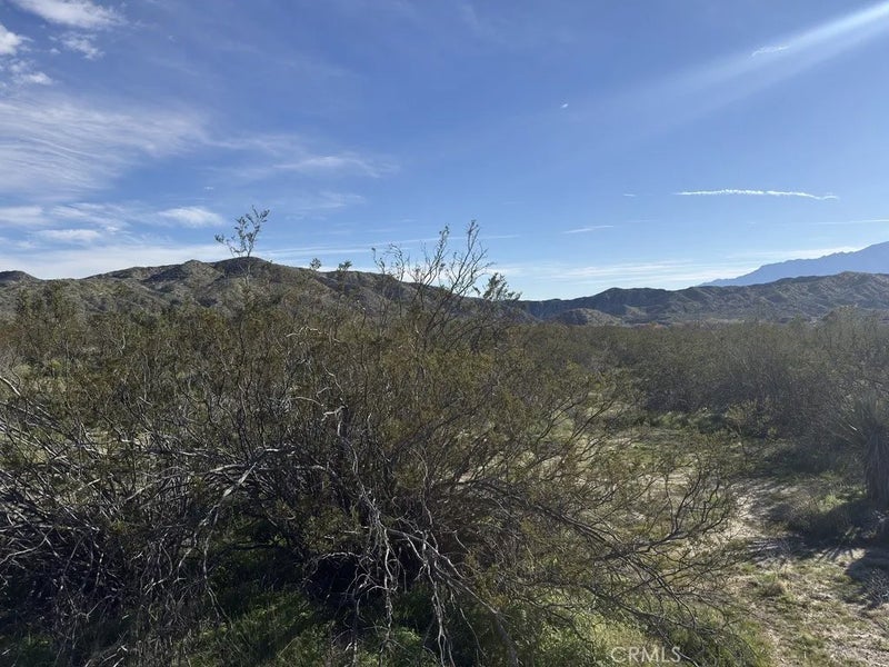 0 Palo Verde