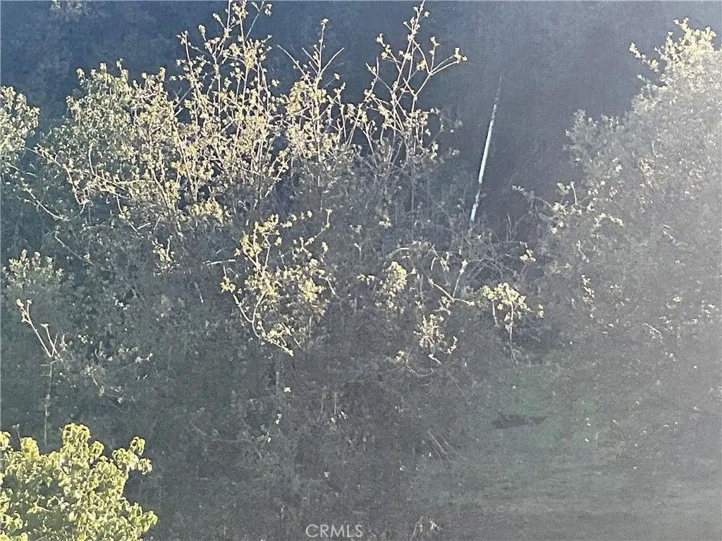 Photo of 67034 Paulsen, Lockwood, CA 93932 (MLS # NS26012285)