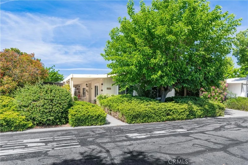 337 Lark Drive