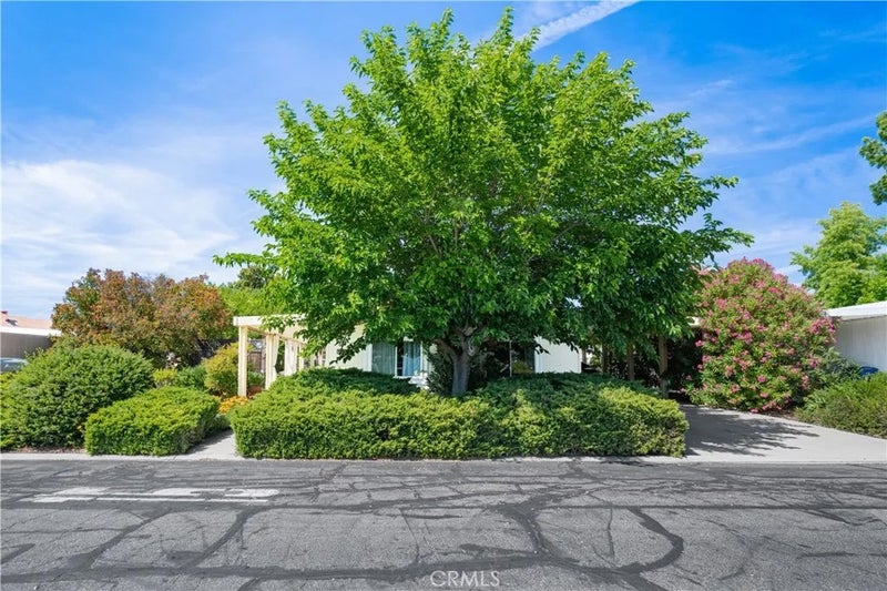 337 Lark Drive