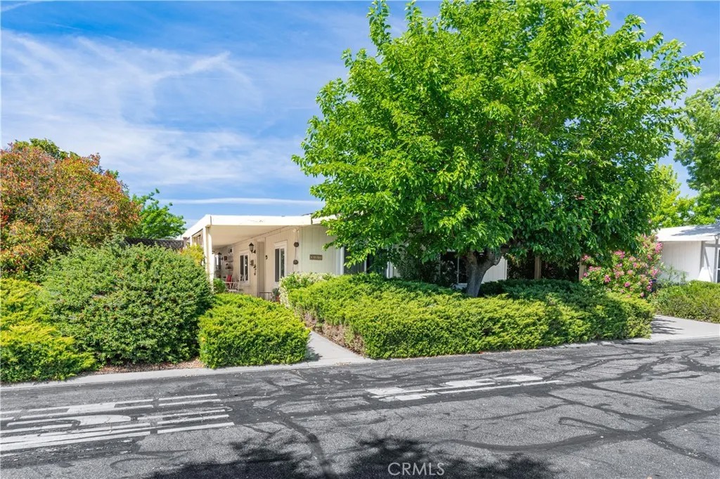 337 Lark Drive