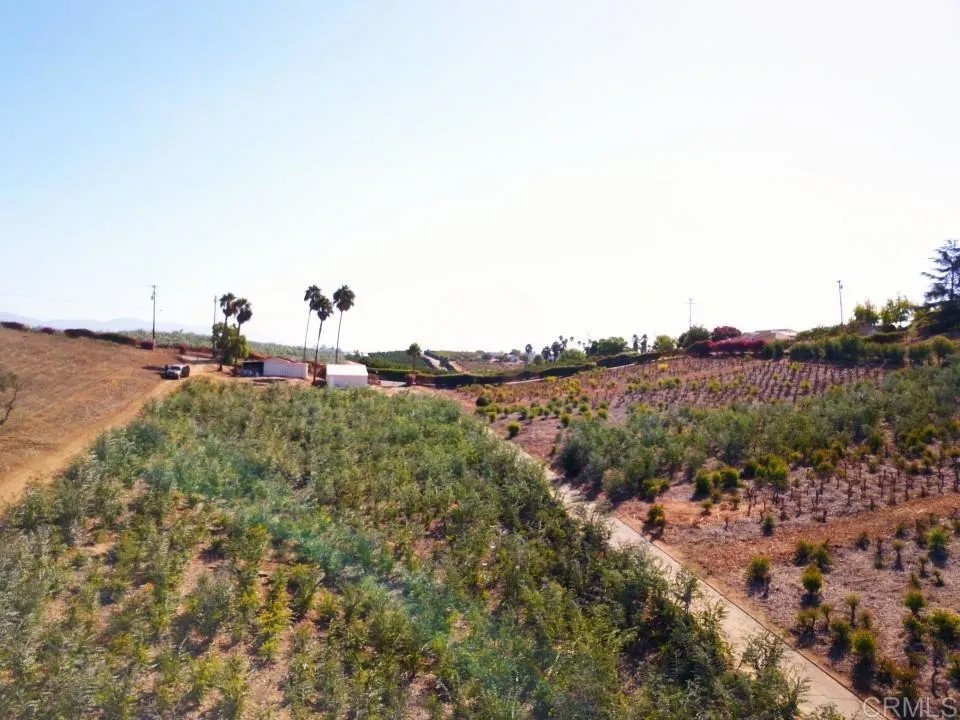 31820 Via Ararat