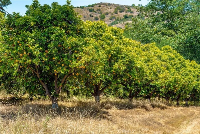 26055 Avenida Del Oro